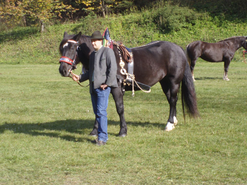Fotos von  bis Dez 2011 067