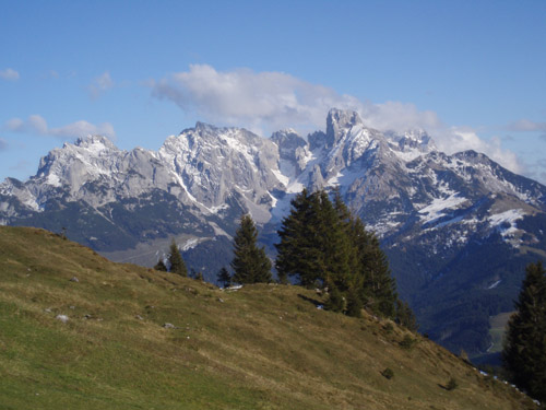 PA230779