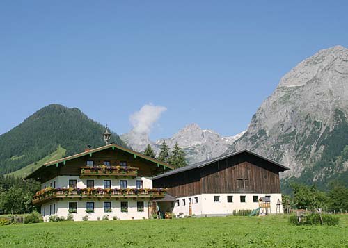 IMG_8682